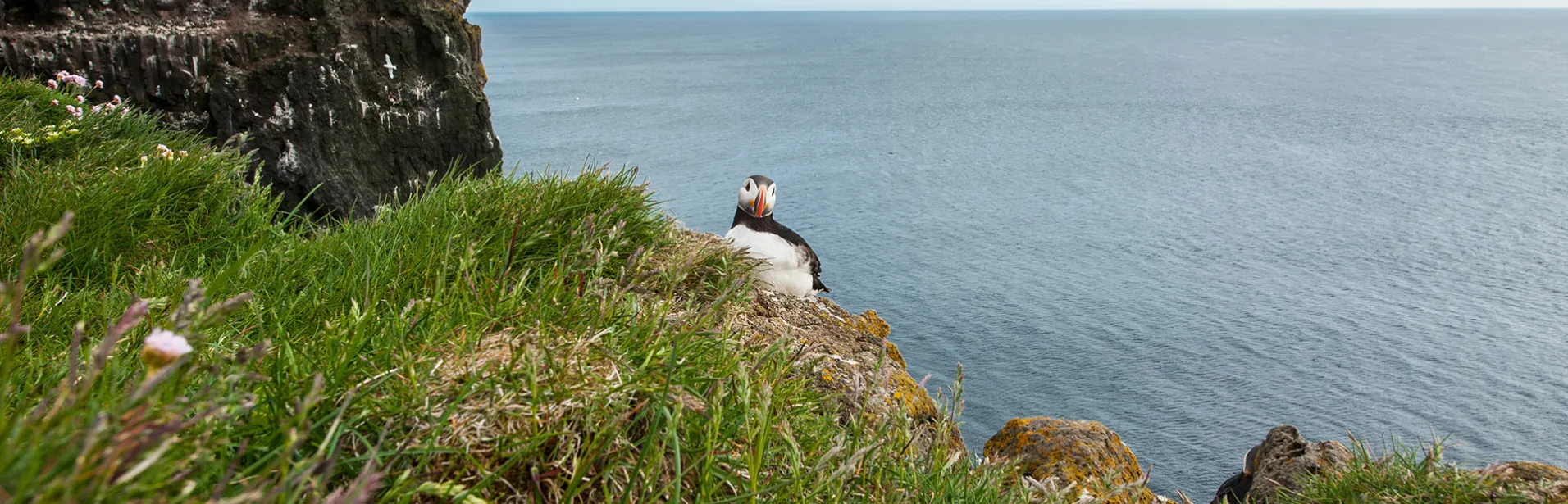 latrabjarg, island